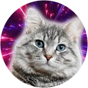 Carolina Penadés Carolina Penadés